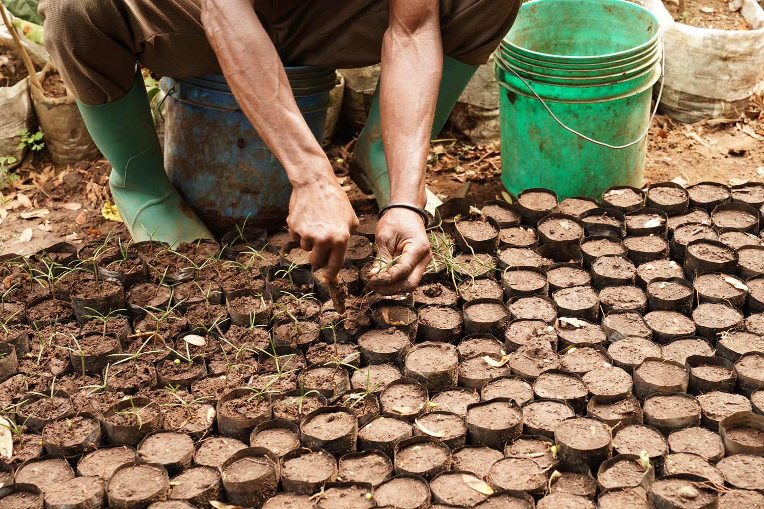 Tanzania_GMT_DSC03657