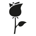 0027_Rose 0027_Rose