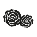 0028_Roses 0028_Roses