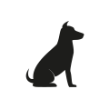 0703_Dog 0703_Dog