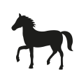 0705_Horse 0705_Horse