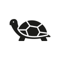 0709_Turtle 0709_Turtle