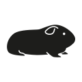 0712_Guinea-Pig 0712_Guinea-Pig