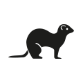 0716_Weasel 0716_Weasel