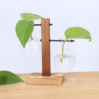 Hydro Vase "Fleur"